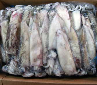 Lula patagonica-CB-C4-Aprox-5kg-